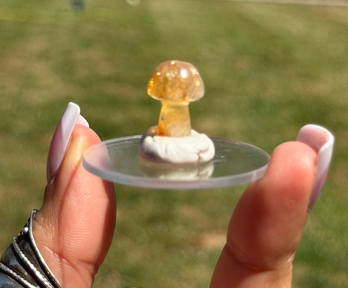 South African Honey Citrine Mini Mushroom Carving
