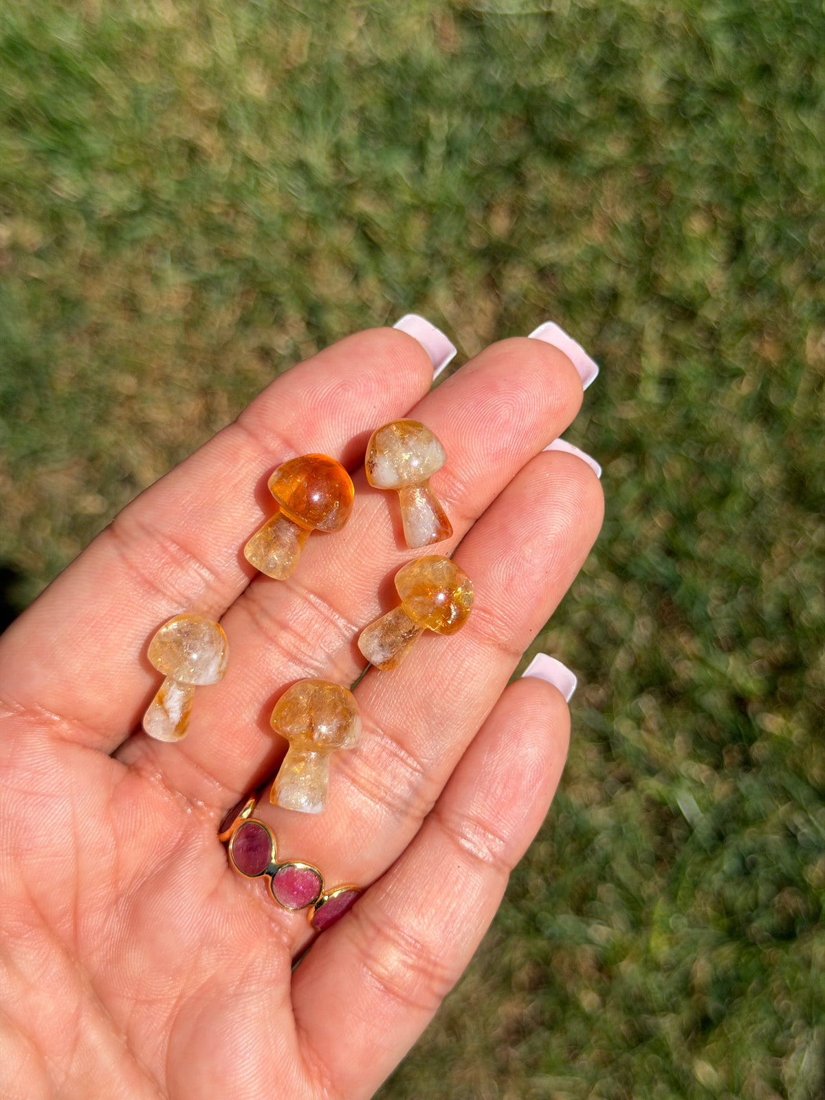 South African Honey Citrine Mini Mushroom Carving