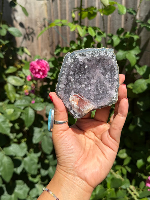 Brazilian Amethyst with Red Calcite Druzy | Collector’s Crystal Specimen | 207g