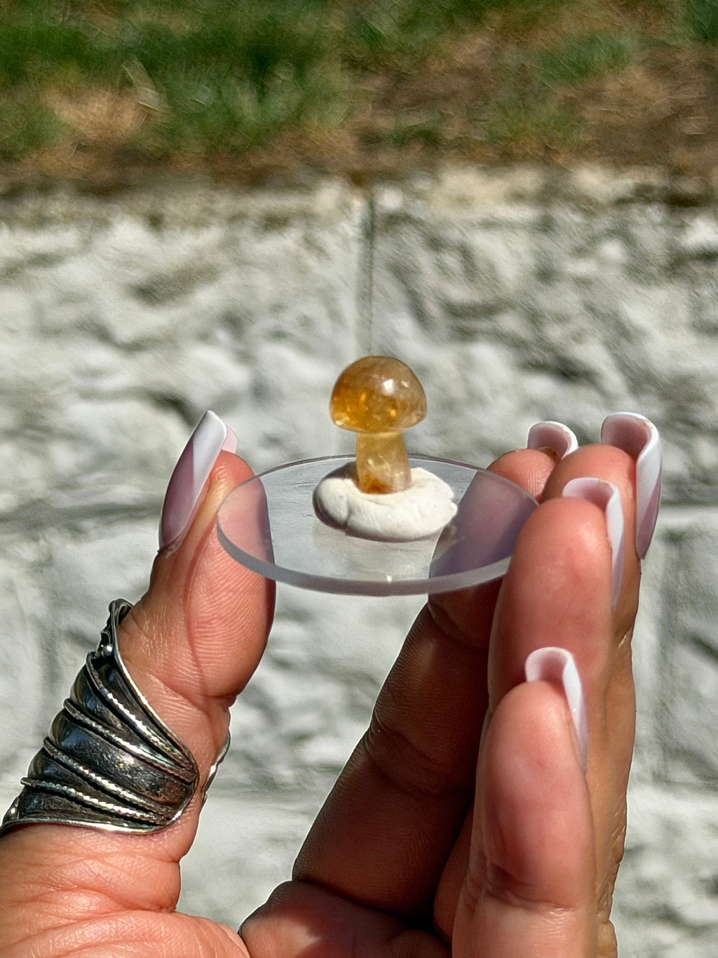 South African Honey Citrine Mini Mushroom Carving