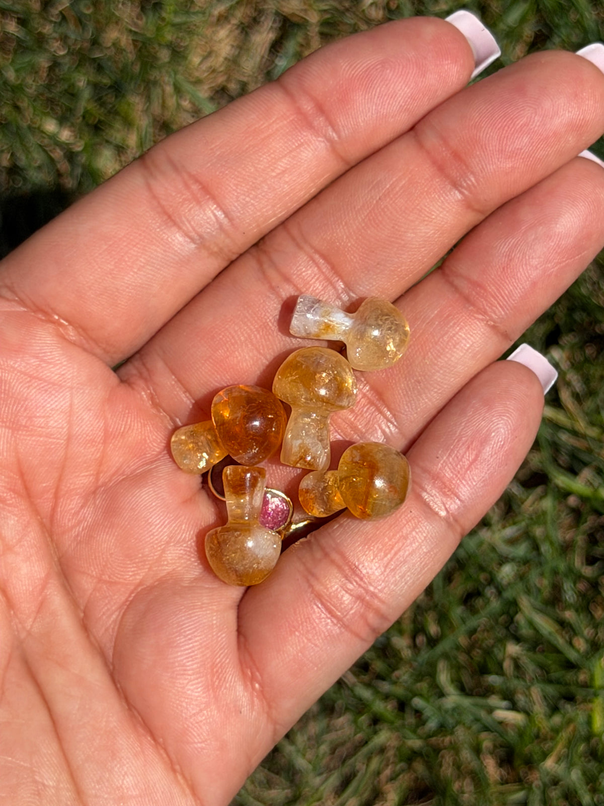 South African Honey Citrine Mini Mushroom Carving